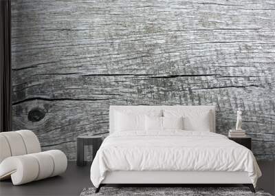 Old wooden surface. Gray dry wood. Nature. Cracks. Natural Texture. Wall mural