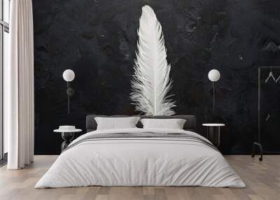 Single feather on black background with white tip Wall mural