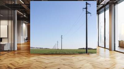 A line of electric poles with cables of electricity in a field with a forest in background in spring time during the day. Wall mural