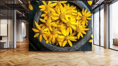 arnica essential oil. Selective focus Wall mural