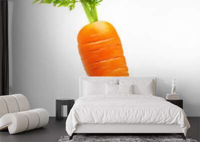 Carrot isolated on white Wall mural