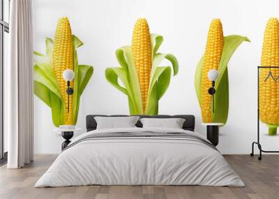 Ear of corn isolated on a white background. Fresh corncob set. Wall mural