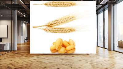 Ears of wheat Wall mural