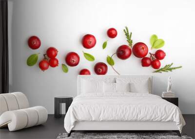 Fresh forest berry cranberry Wall mural