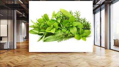 Fresh spices herbs isolated  Wall mural