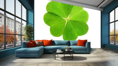 green clover leaf isolated on white background. Wall mural