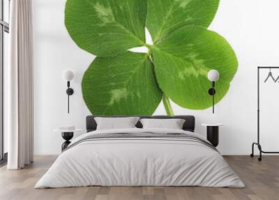 Green four-leaf clover leaf isolated on white background. Wall mural