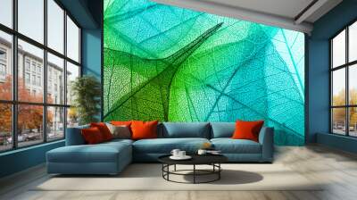 Macro leaves background texture Wall mural