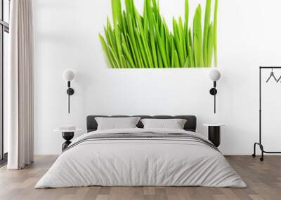 Paper sheet over fresh green grass on white Wall mural