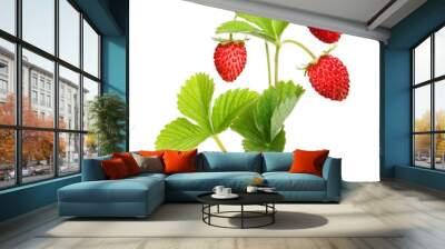 Wild strawberry isolated Wall mural