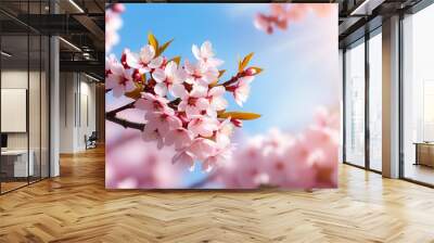 Horizontal banner with sakura flowers of pink color on sunny backdrop. Beautiful nature spring background with a branch of blooming sakura. Sakura blossoming season in Japan Wall mural