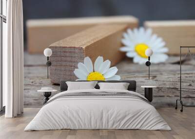 Two beautiful daisies lie near three wooden blocks. Wall mural