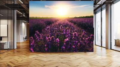 Lavender flower in the field Wall mural