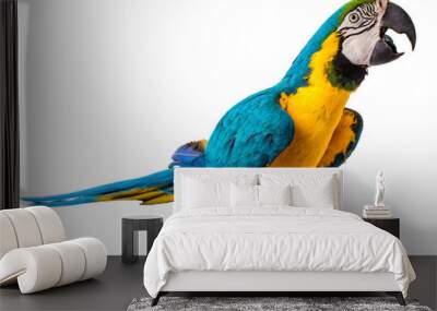 Macaw Parrot isolated on white Wall mural