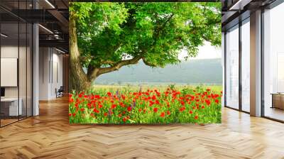 Poppy's field and big green tree Wall mural