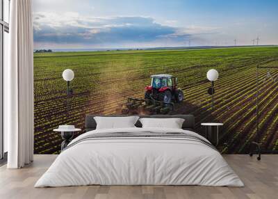 Tractor cultivating field at spring Wall mural