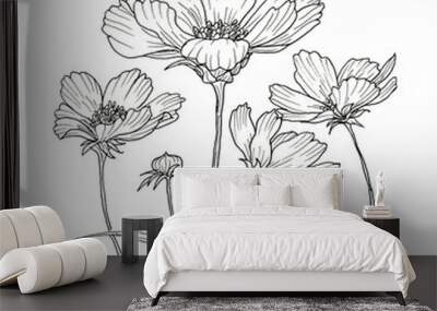 Line ink drawing of cosmos flower Wall mural