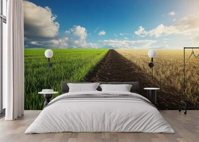 Concept of the grass is always greener on the other side Wall mural