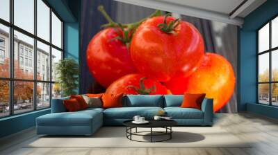 four red tomatoes with drops on a light background, copy space for text	 Wall mural