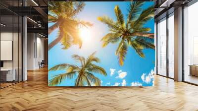 Tropical palm trees under blue skies and sunshine on a sunny day Wall mural