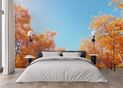 Vibrant autumn forest under a clear blue sky Wall mural