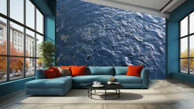 Salmon fish and waves on lake. Slovakia Wall mural