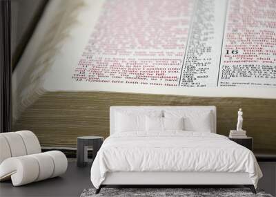 Closeup Bible Letters in Red Wall mural