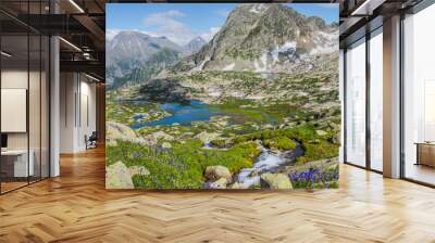 A picturesque valley in the Altai Mountains. Green alpine meadows, spring flowers, snow and lakes. Wall mural