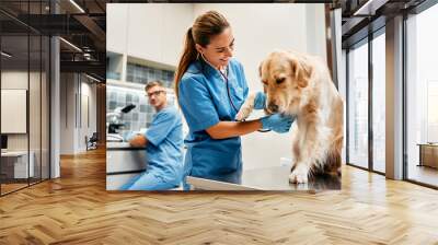 Animals for examination and treatment in the veterinary clinic Wall mural