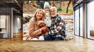 Senior couple walking in the park in autumn Wall mural