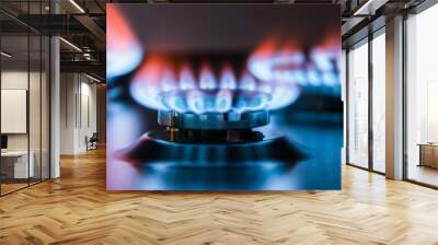 burning gas burner. Wall mural