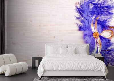 beautiful mask of feathers light board Wall mural