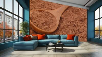 Cacao powder and wooden spoon close up Wall mural