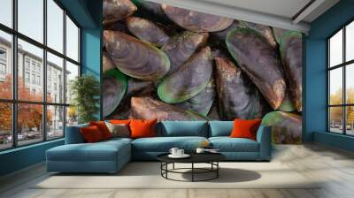 Many fresh raw green mussels background Wall mural