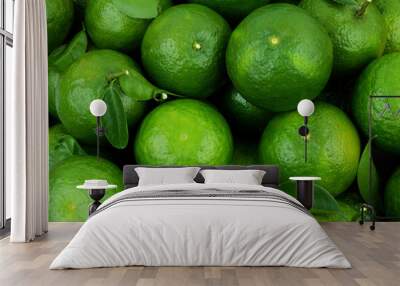 Many green oranges with green leaves as background. King orange or citrus reticulata sinensis. Wall mural