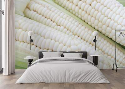 White corn cobs background Wall mural