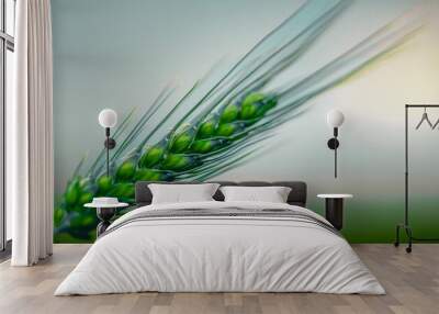 green isolated ear of wheat Wall mural