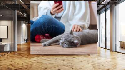 Female sitting on floor using smartphone, pet cat sleeping near owner Wall mural