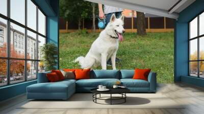 Husky dog of white color, with its owner, sits on the grass Wall mural