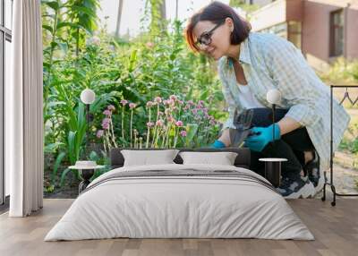 Middle aged woman working in flower bed using gardening tools. Wall mural