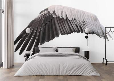 bird wing cutout Wall mural