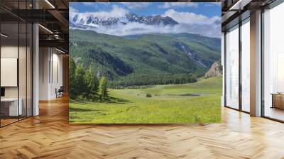 Picturesque mountain valley on a sunny summer morning Wall mural