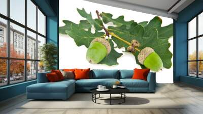 acorns Wall mural