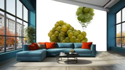 vine Wall mural