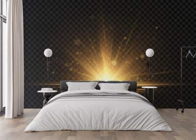 Abstract bright light of the sun explodes with a bright glow in a horizontal projection. A flash of bright golden light on a transparent background. Wall mural