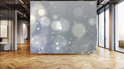 Abstract magic light dust effect with golden bokeh highlights on transparent background. Christmas lights. Glowing flying dust. Vector illustration for New Year's design. Wall mural