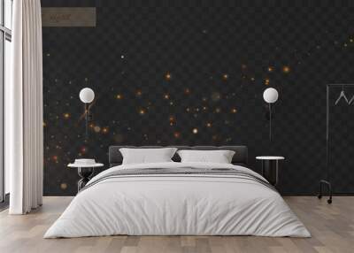 Glowing light effect with many glitter particles isolated on transparent background. Vector star cloud with dust.	 Wall mural