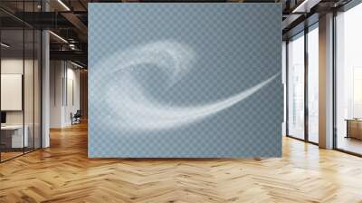 Realistic swirl shape steam smoke set. White smoke waves of hot drink, coffee, cigarettes, tea or food. Fog flow swirl layout. Wall mural