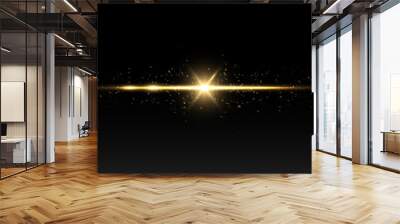 Shining light effects isolated on dark background, glare, lines, golden light particles. Set of vector stars. Wall mural