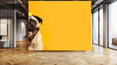 Website banner of pug pet with a happy face at funny birthday party wearing colourful hat yellow background. Holidays celebrations concept. Advertising postcards. Generative AI Technology Wall mural